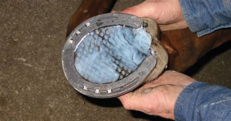 The Future of Laminitis: Witching Mats as a Promising Treatment